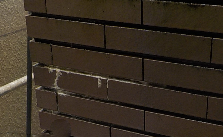 エフロ取り　施工前